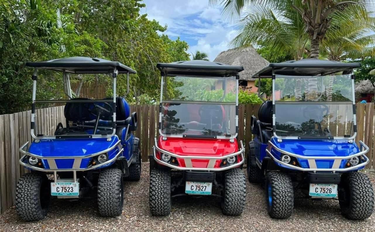 golf carts in san pedro belize
