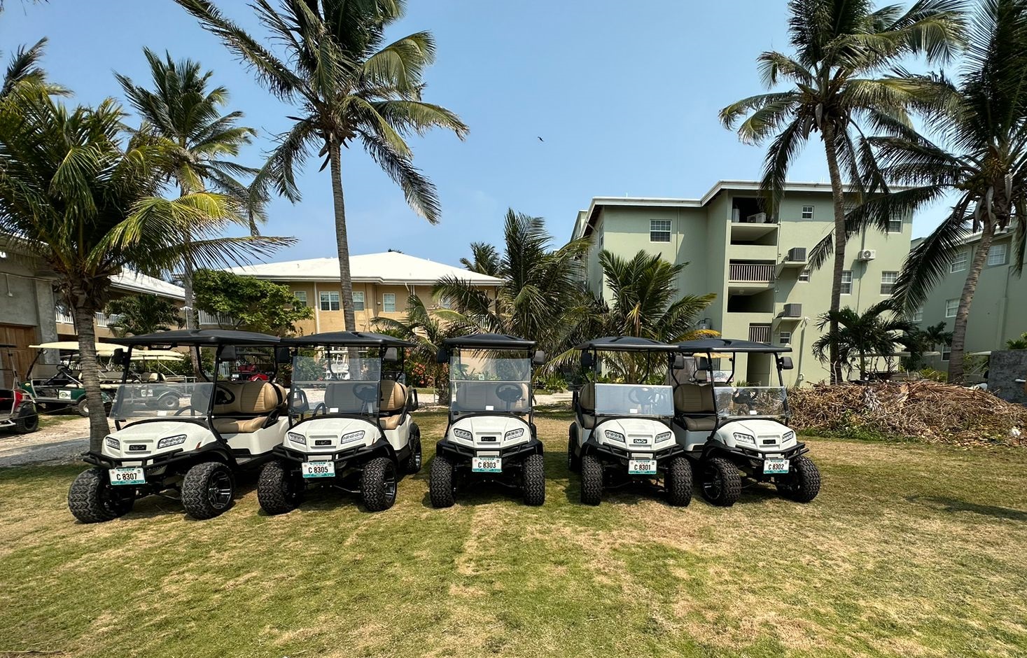 golf carts in san pedro